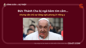 Đức Thánh Cha bị ngã bầm tím cằm