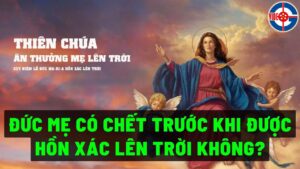 Đức Mẹ có chết trước khi được hồn xác lên trời không?