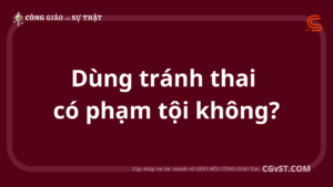 Dùng tránh thai có phạm tội không?