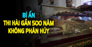 Bí ẩn sau di tích Thánh Phanxicô Xaviê: Điều gì thu hút hàng triệu người hành hương?