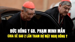 Đức Hồng Y GB Phạm Minh Mẫn kể gì sau 2 lần tham dự Mật Nghị?