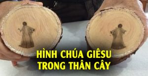 Cưa đôi thân cây, cả nhóm công nhân chết lặng trước điều xuất hiện bên trong