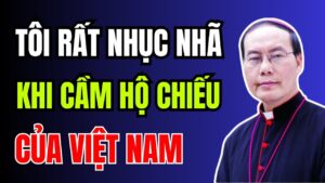 'Chúng tôi đi nước ngoài rất nhiều, chúng tôi rất là nhục nhã khi cầm cái hộ chiếu Việt Nam' lời cắt xén, Chiêu trò của các bài báo Việt Nam