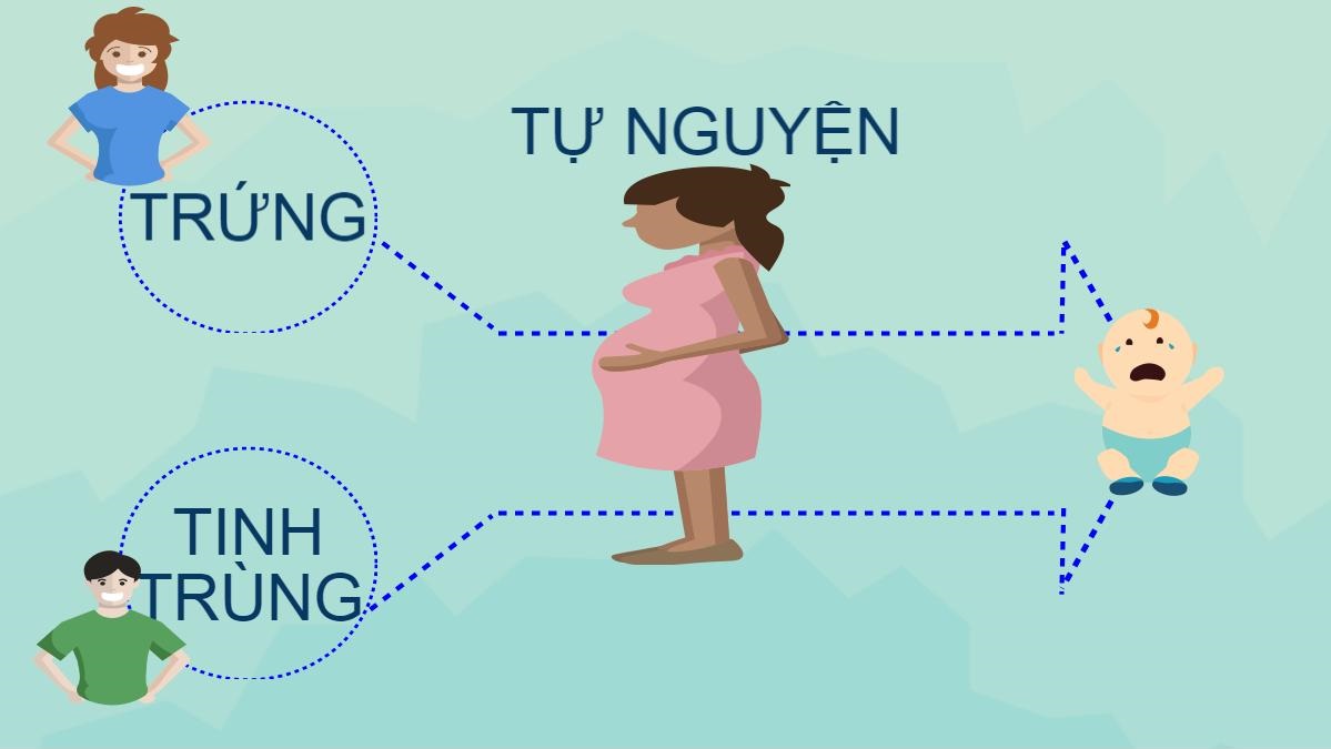 Người Công giáo được mang thai hộ không?