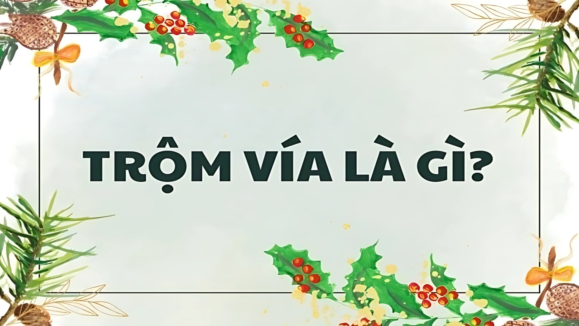 Người Công Giáo Có nên nói'trộm vía' hay'xin vía' không?
