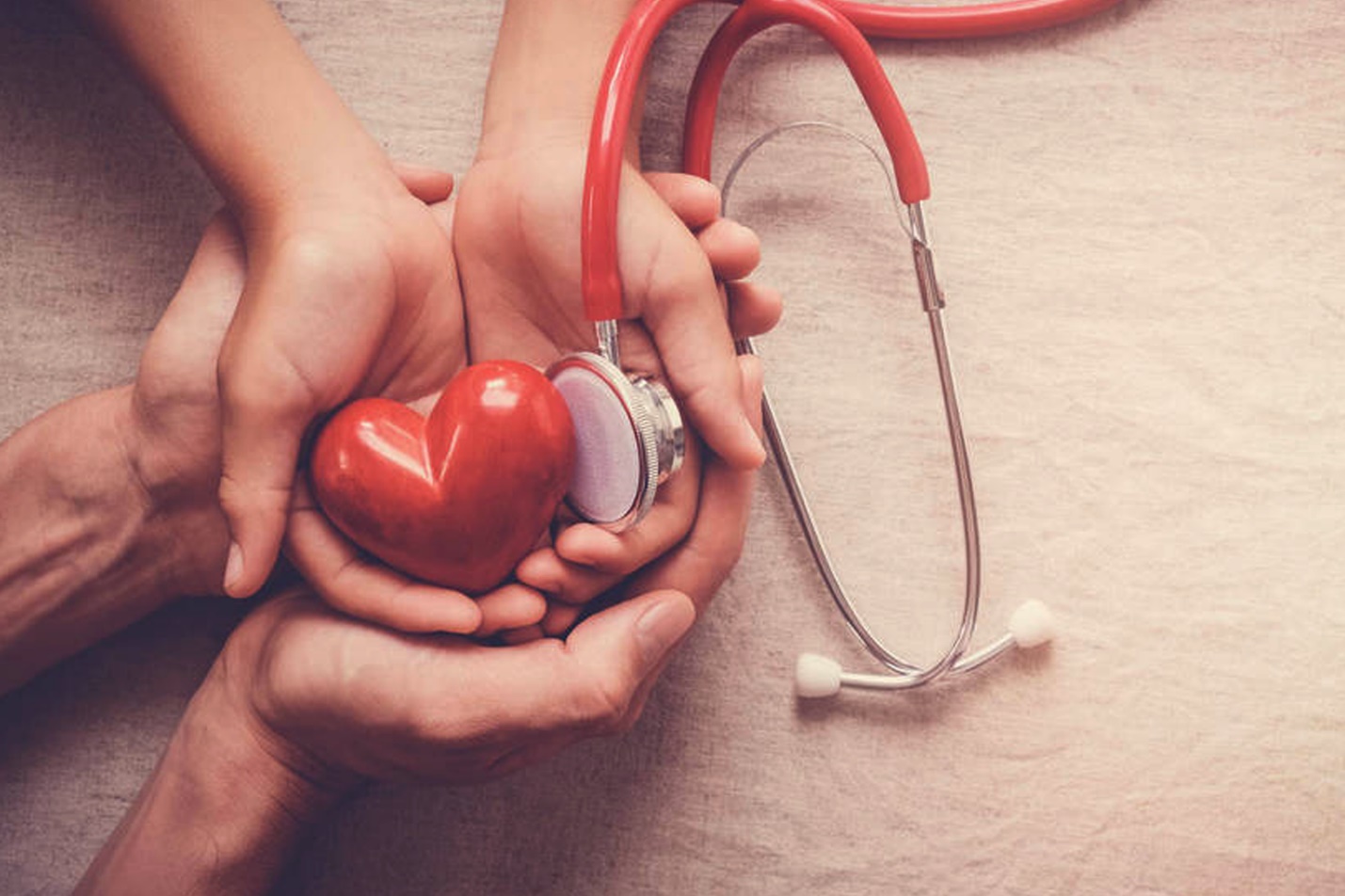 Quan điểm của Đạo Công giáo về hiến máu và hiến tạng