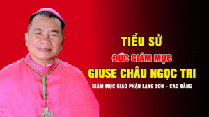 Tiểu sử Đức Giám mục Giuse Châu Ngọc Tri