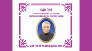 Cha Phêrô Nguyễn Quang Báu, linh mục đoàn Giáo phận Qui Nhơn