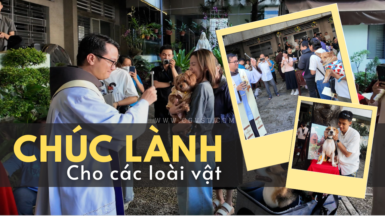 Chúc lành cho các loài vật