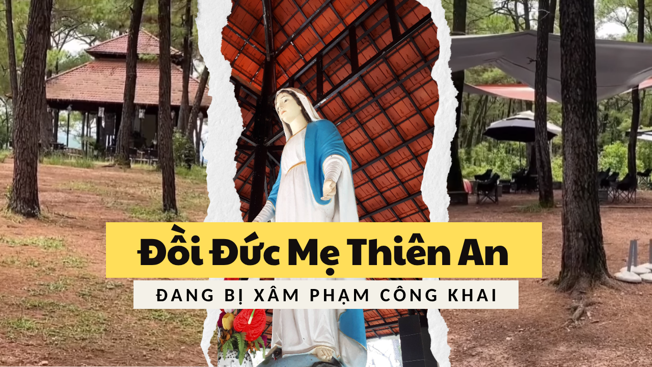 Đồi Đức Mẹ Đan viện Thiên An – vùng đất linh thiêng bị xâm phạm