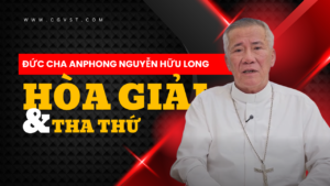 Hòa giải