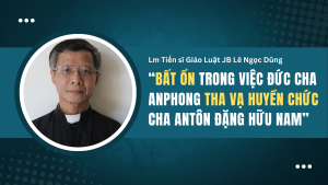 Lm Tiến sĩ JB Lê Ngọc Dũng nói rằng không nên tha vạ treo chén cho Cha Nam