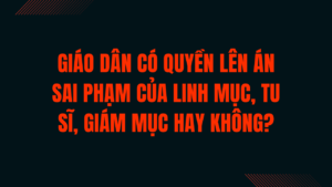 Giáo dân có quyền lên án sai phạm của linh mục, tu sĩ, giám mục hay không?