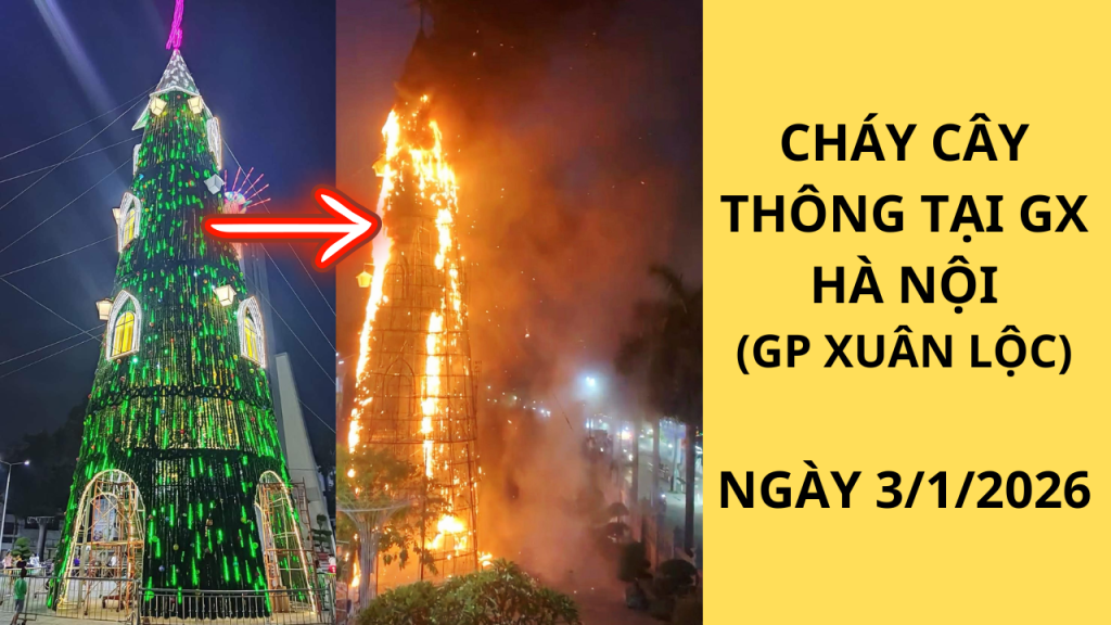 Cháy cây thông tại Nhà thờ Gx Hà Nội, GP Xuân Lộc