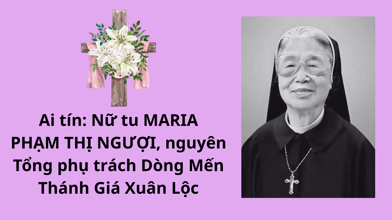 phạm thị ngượi