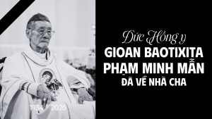 ĐHY Gioan Baotixita Phạm Minh Mẫn qua đời