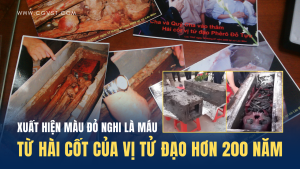 Màu đỏ nghi là Máu của vị tử đạo hàng Trăm Năm khi cải táng tại giáo xứ Liên Thủy, GP Bùi Chu