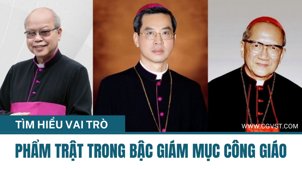 Vai trò Hồng Y, Tổng Giám mục, Giám mục, Giám mục phó, Giám mục phụ tá
