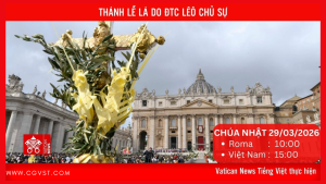 [Trực tiếp] Thánh Lễ Lá do Đức Thánh Cha Lêô chủ sự (CN 29/3)