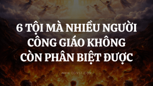 6 tội mà nhiều người Công giáo không còn phân biệt được