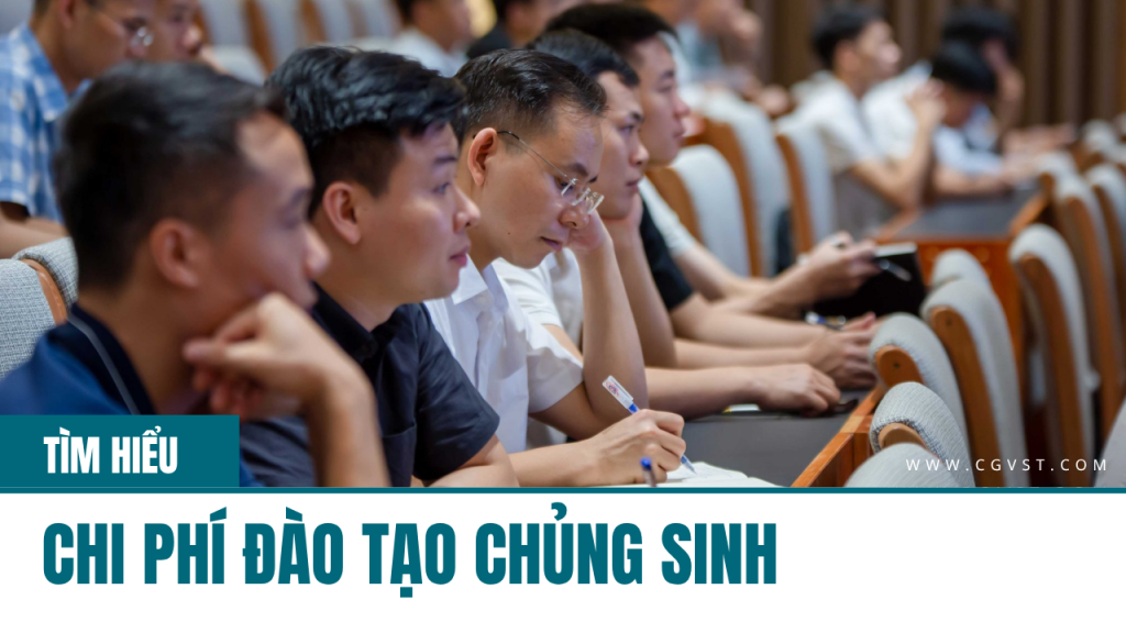 Đào tạo 1 Chủng sinh thực sự tốn bao nhiêu?