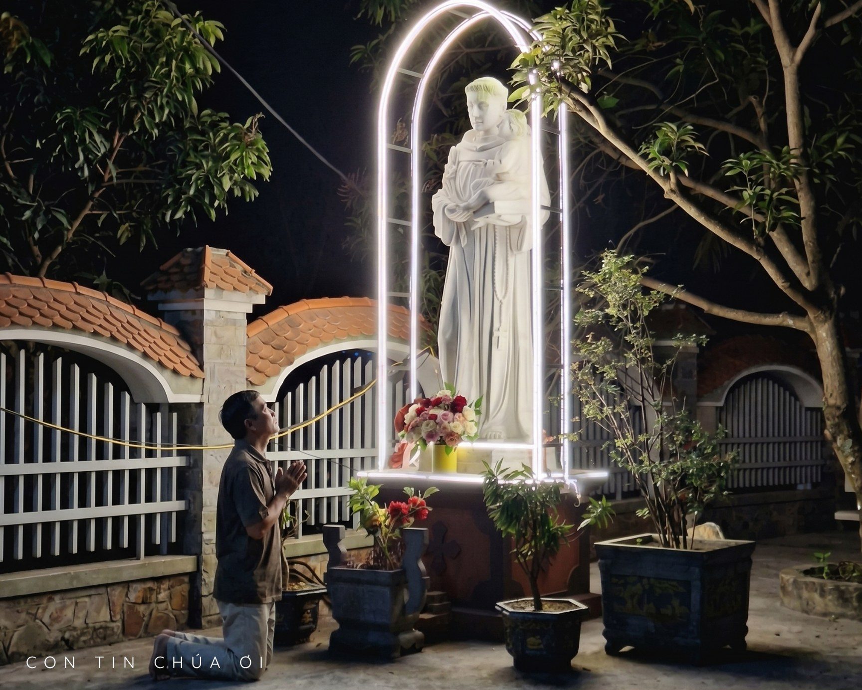 Chuyện con trâu nhà tôi và ông Thánh 'tìm đồ'