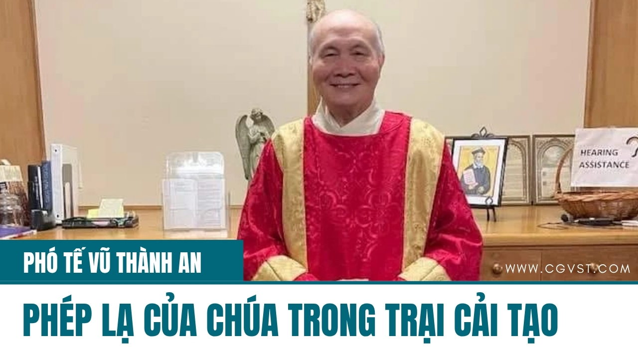 Tôi Được Cứu Từ Đáy Vực Sâu - Phó tế Vũ Thành An