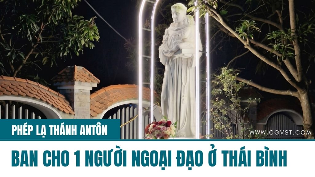 Chuyện con trâu nhà tôi và ông Thánh 'tìm đồ'