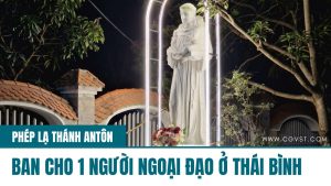 Chuyện con trâu nhà tôi và ông Thánh 'tìm đồ'