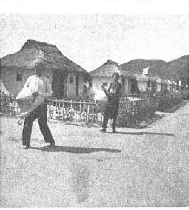 Bài “Trại phong Qui Hòa” trên báo Les Annales coloniales, 1930