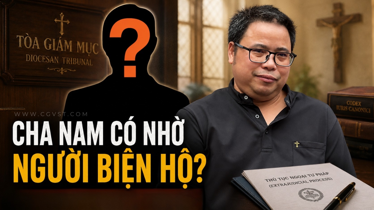 Cha Antôn Đặng Hữu Nam có nhờ người biện hộ trong tiến trình này không?